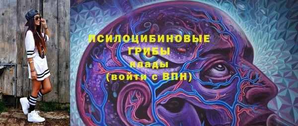 прущий лед Елизово