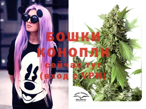 прущий лед Елизово